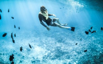 Plongée au Mexique : les meilleurs spots sous-marins