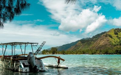 Vie locale au Mexique : immersion et conseils