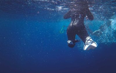 Plongée épave au Mexique: explorer les trésors engloutis entre récifs et eaux profondes