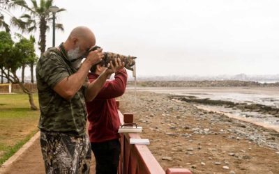 Observation des oiseaux au Mexique: les sanctuaires où la vie ailée se déploie