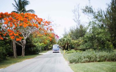 Road trip Mexique : quels itinéraires offrent les paysages les plus incroyables ?
