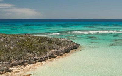 Cat Island Mexique à visiter : pourquoi cette île mérite-t-elle votre attention ?