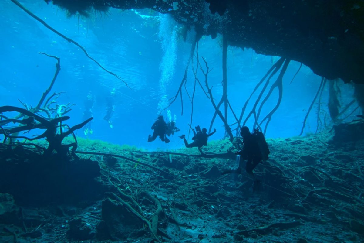 Meilleurs cenotes à visiter près de Mérida