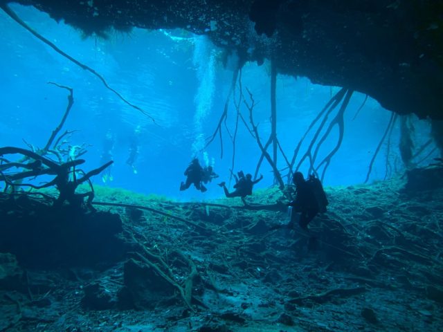 Meilleurs cenotes à visiter près de Mérida