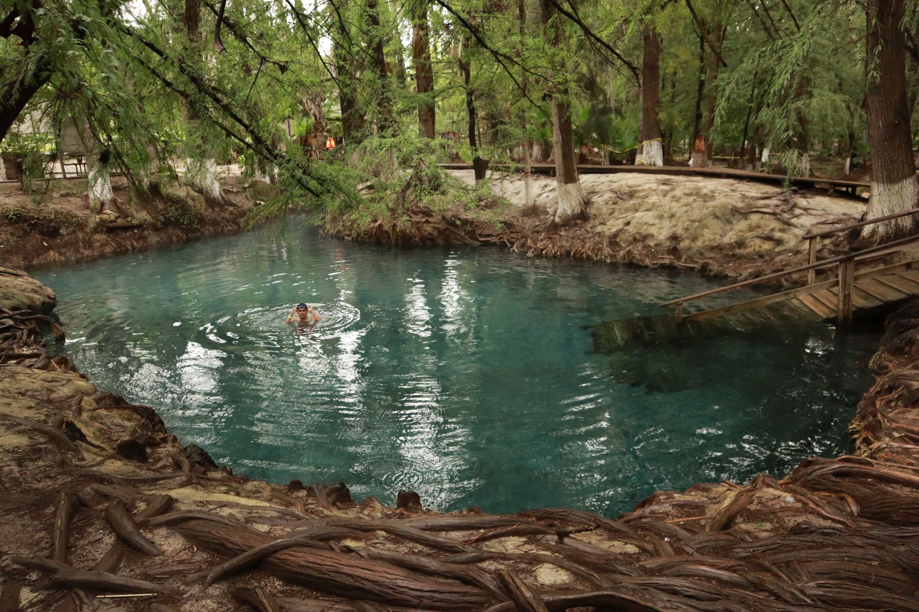 Meilleurs cenotes à visiter près de Mérida